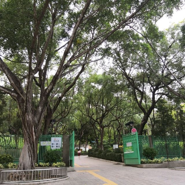 老香港的味道:沙田花園城 老香港的味道:沙田花園城