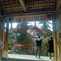 京都の紅葉スポット「毘沙門堂」