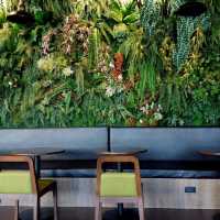 Amazon cafe ซอยวัดพระเงิน 