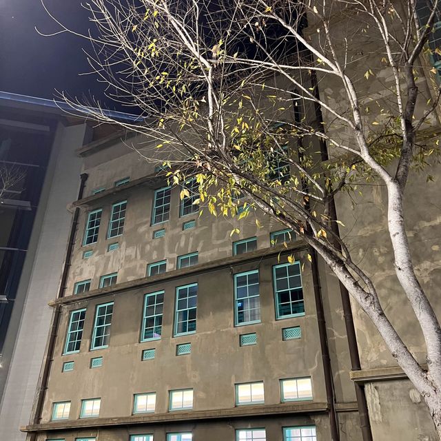 晚上比白天還美的嘉義市立美術館 一秒到歐洲