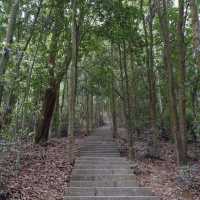 深圳至抵玩植物園