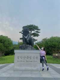 설악산 케이블카타고 인생샷여행하기🚡