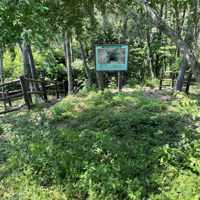 Beautiful Jeju Hike