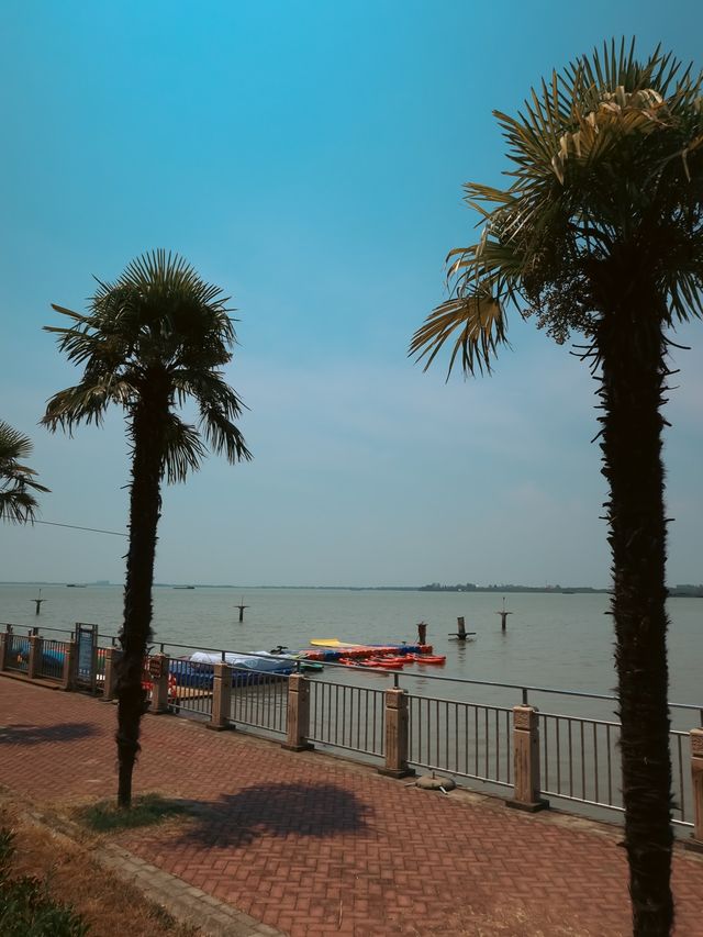 Dianshan Lake, Shanghai🌿🌱