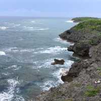 豊かな与論島の海