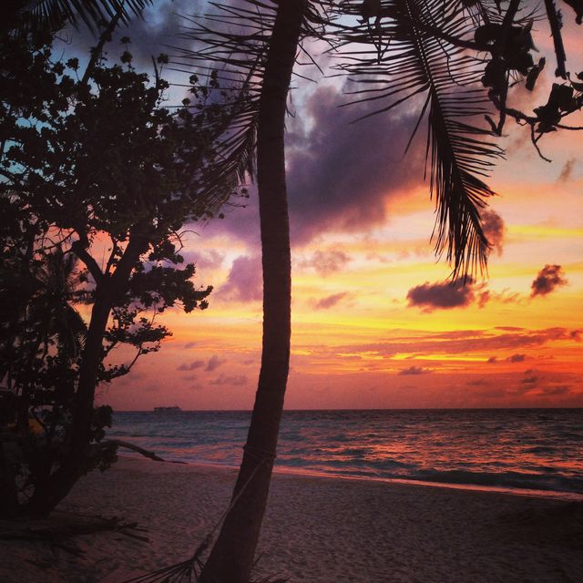 Maafushi Island in the Maldives!
