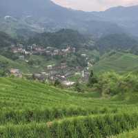 Longji Rice Fields