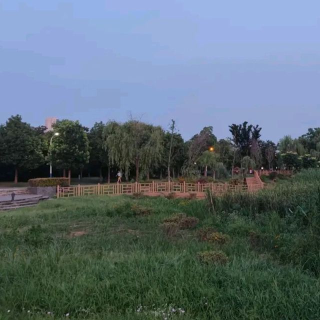 汤湖公园自由行
