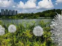 Oh so green! Yueshan Lake, Jinyang, Guiyang 