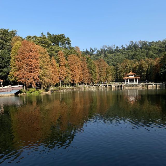 Fairy Lake Botanical Garden