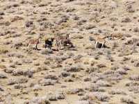 California's Death Valley, a scenic area that should not be overlooked.