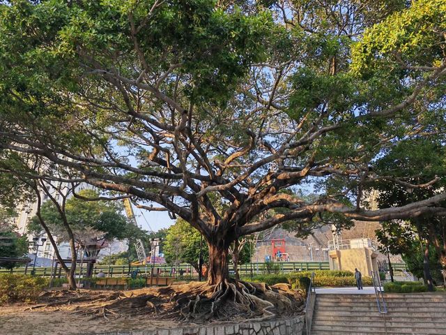 Kowloon Walled City Park | Hong Kong