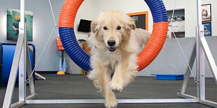 Zoom Room Indian Trail, North Carolina Grand Opening | 14045 E Independence Blvd unit c4