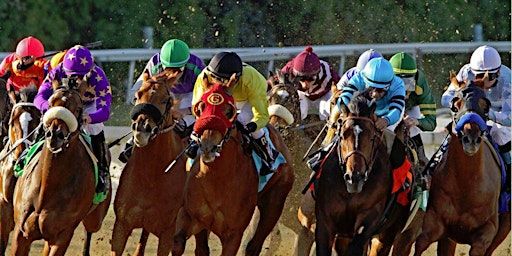 Night At The Races | 540 New St