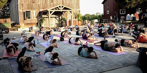 Barre Forward at Great Frogs Winery | Great Frogs Winery