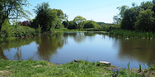 50. Hidden Gardens: 6 miles - Dog Friendly | Dale End Car Park
