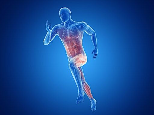 2025 HOI Sports Medicine Symposium | Chapman University