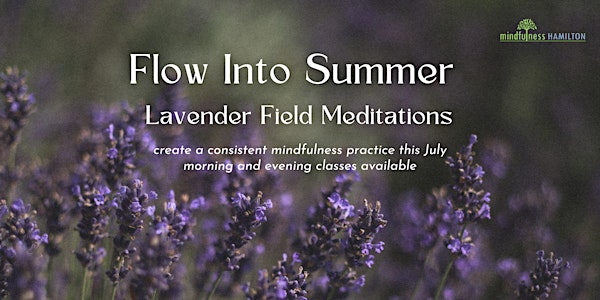 Flow Into Summer: Lavender Field Meditations (Morning) | MiKel's Lavender Oasis