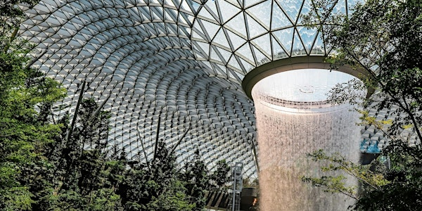 Complexity in OD, Design, Innovation & Coaching | Common Ground Civic Centre & Consultancy