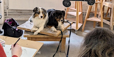 Dog Life Drawing at Kit.Form, Bristol | Kit Form