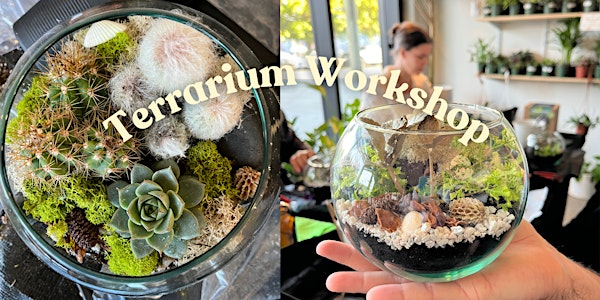 Terrarium Workshop | VI Plant Shop
