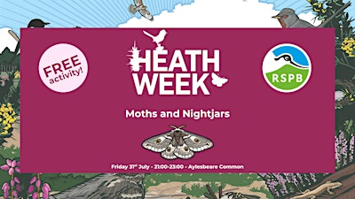 Heath Week 2026: Moths and Nightjars | Joney's Cross Car Park