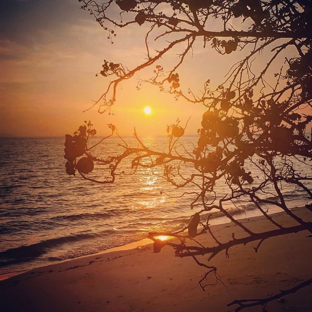 ชมทั้งพระอาทิตย์ขึ้นและพระอาทิตย์ตกที่เกาะ Phi Phi