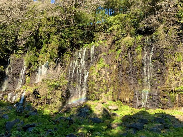 【山梨旅行】富士山麓にある「白糸の滝」