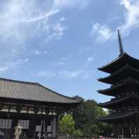 興福寺に行ってみた