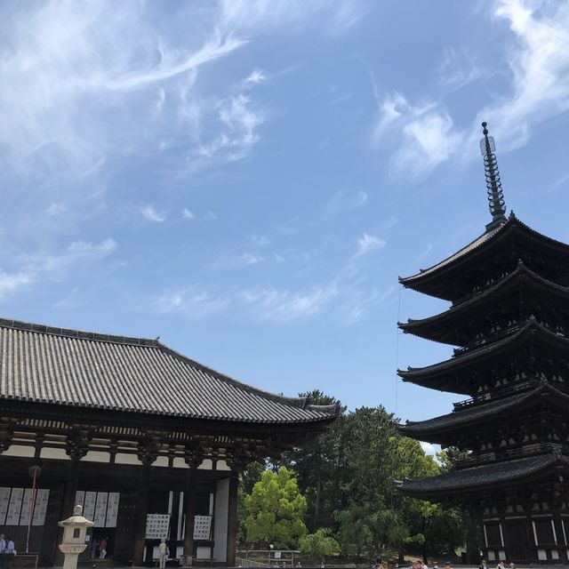 興福寺に行ってみた