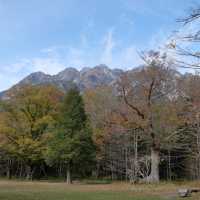 紅葉の河童橋
