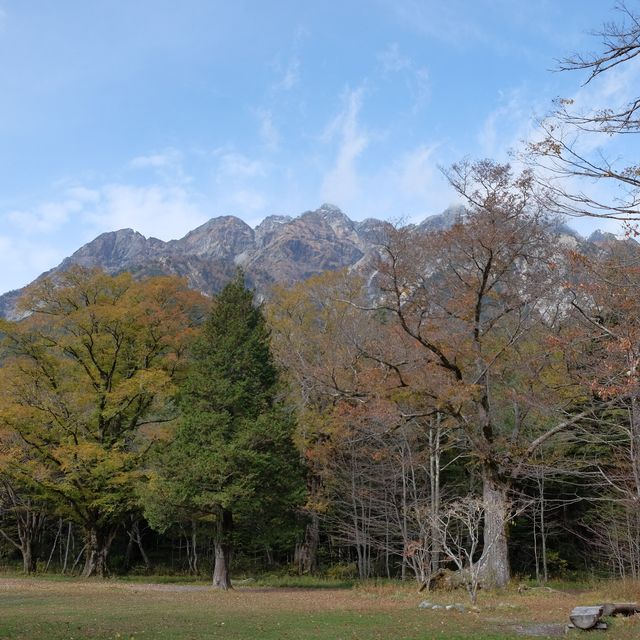紅葉の河童橋