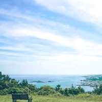 제주 동쪽 오름추천 '함덕서우봉'