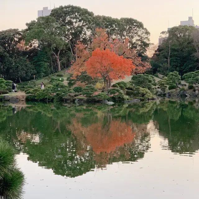 【東京都】紅葉の清澄庭園