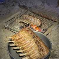 陽光與海灘蘿箕灣 camping