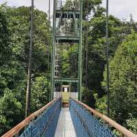 Macritchie Treetop Walk