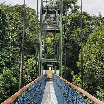 Treetops reopens at Paradise Park