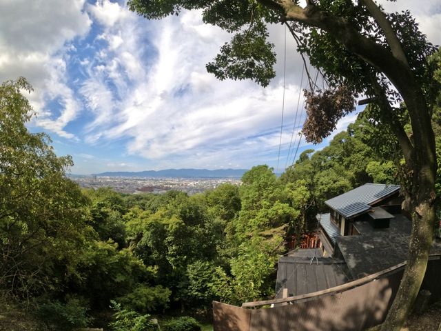 【京都観光】京都を代表する神社⛩