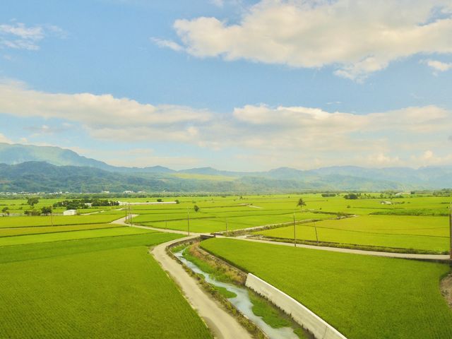 在池上看見樂園