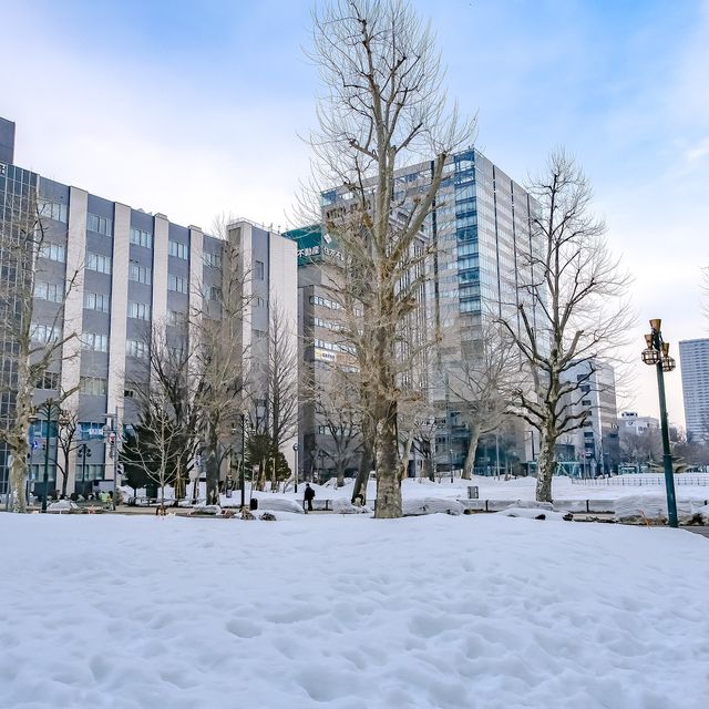 冬の札幌大通り公園の景色
