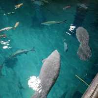 Trip to River Wonders