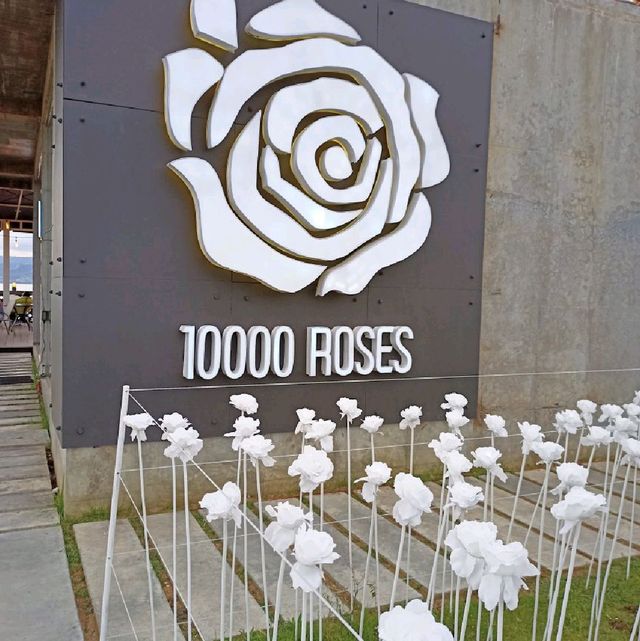 10000 Roses