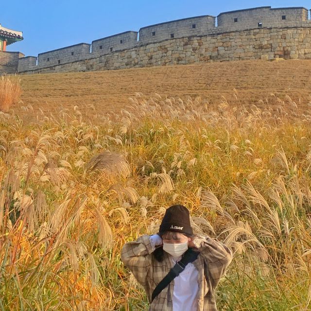 [볼곳] 가을이 기다려지는 이유🍂🍁 | 수원 방화수류정