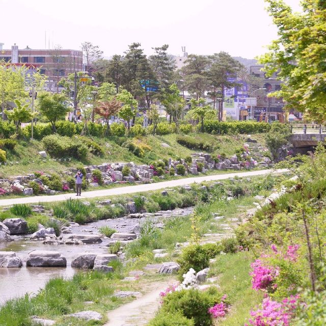 한적한 꽃길 춘천 약사천