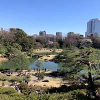 【東京】しだれ桜が有名🌸都内の公園「六義園」