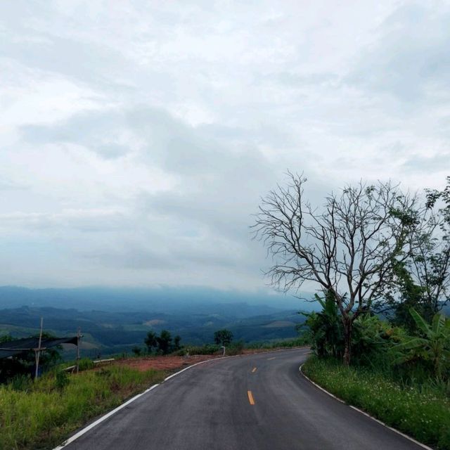 จุดชมวิวม่อนแม่ถาง จังหวัดแพร่