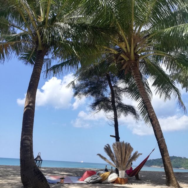 white bus on the beach 