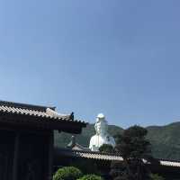 慈山寺 繁華中巍峨的清淨心 