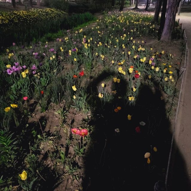 서울숲에서 튤립과 힐링🌷