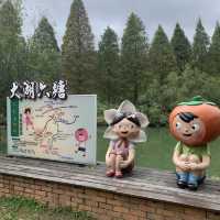 六塘落羽松～四季不同的風貌